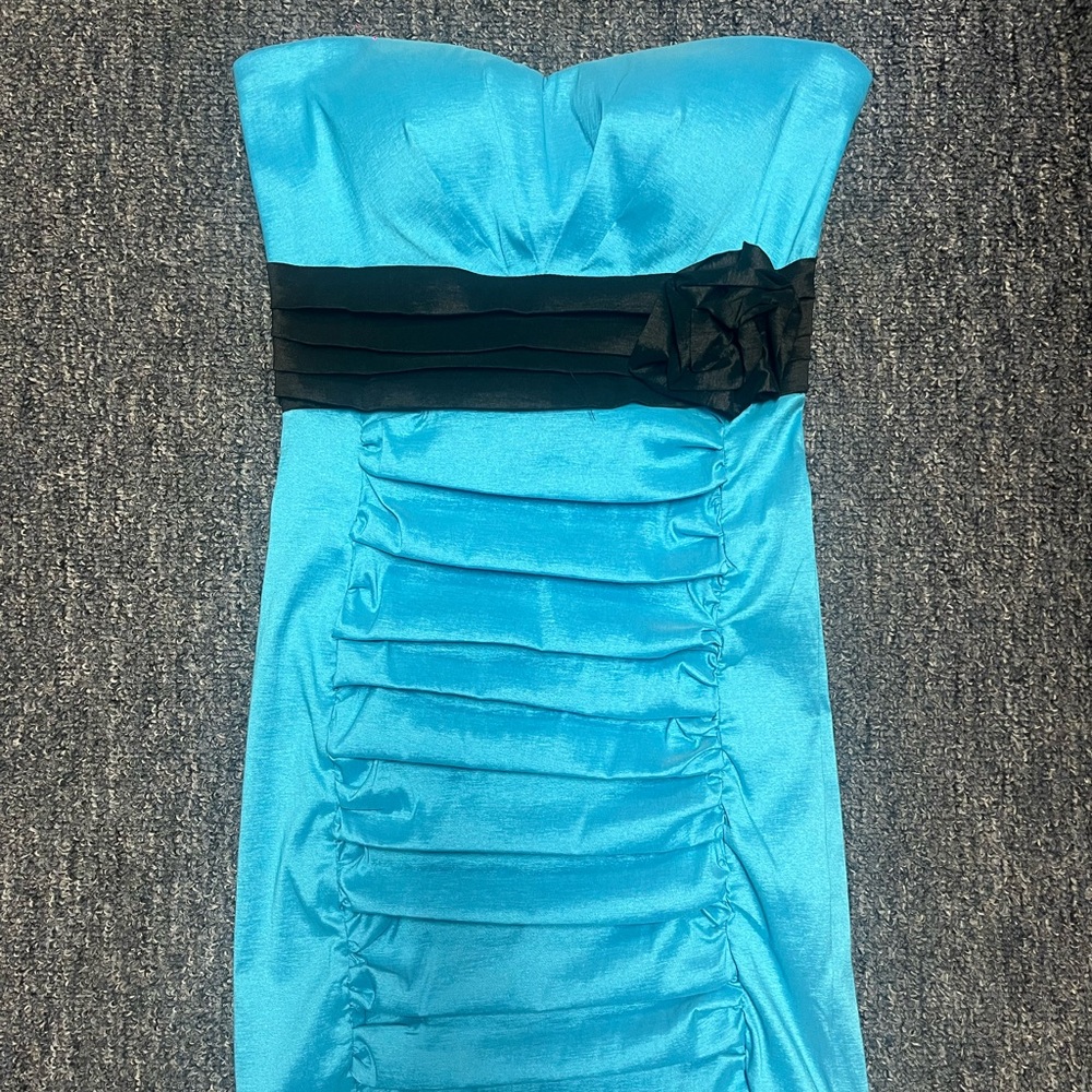La Scala Blue Dress